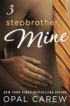 Stepbrother, Mine - Part 3 by Opal Carew